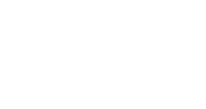 Logo White